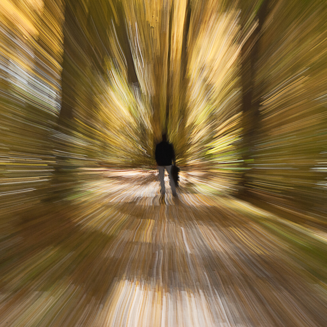Recovering from concussion and brain injury